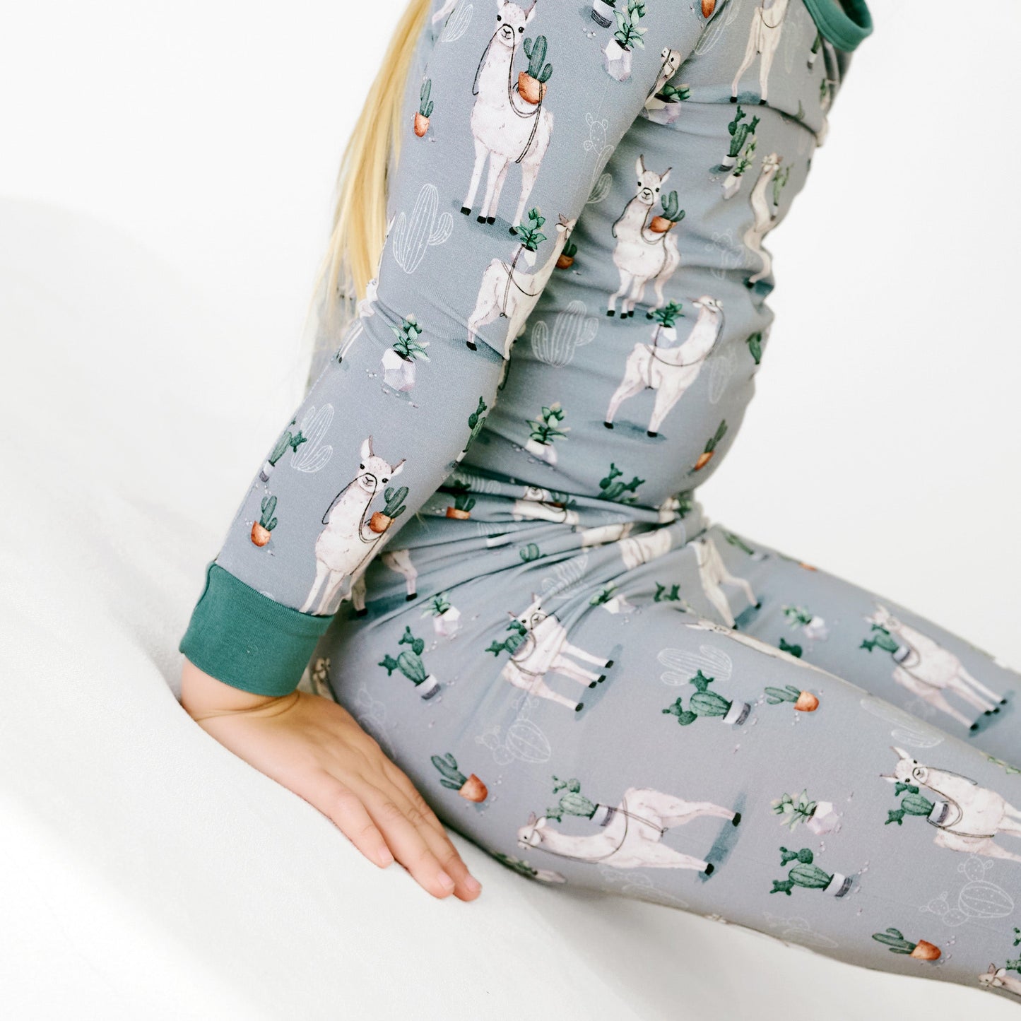 Prickly Llama Long Sleeve PJ's BDLJ