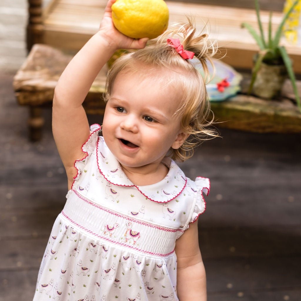 Alex the Alpaca Smocked Dress - Mack & Harvie