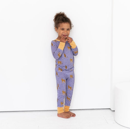 Birthday 2024 Bamboo 2 - Piece Long Sleeve Set - Mack & Harvie