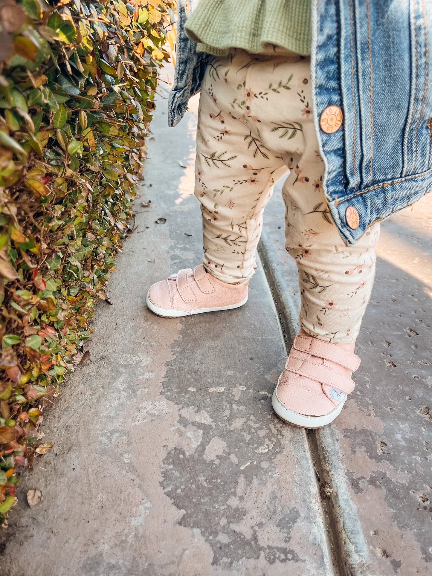 Casual Pink Low Top - Mack & Harvie