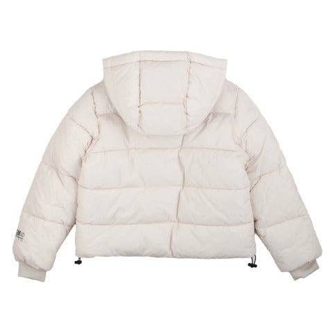 msgm - Puffer jackets - Mack & Harvie